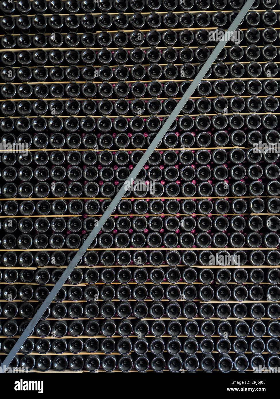 Reihen von Franciacorta-Schaumweinflaschen in einem Brescia-Weingut. Stockfoto