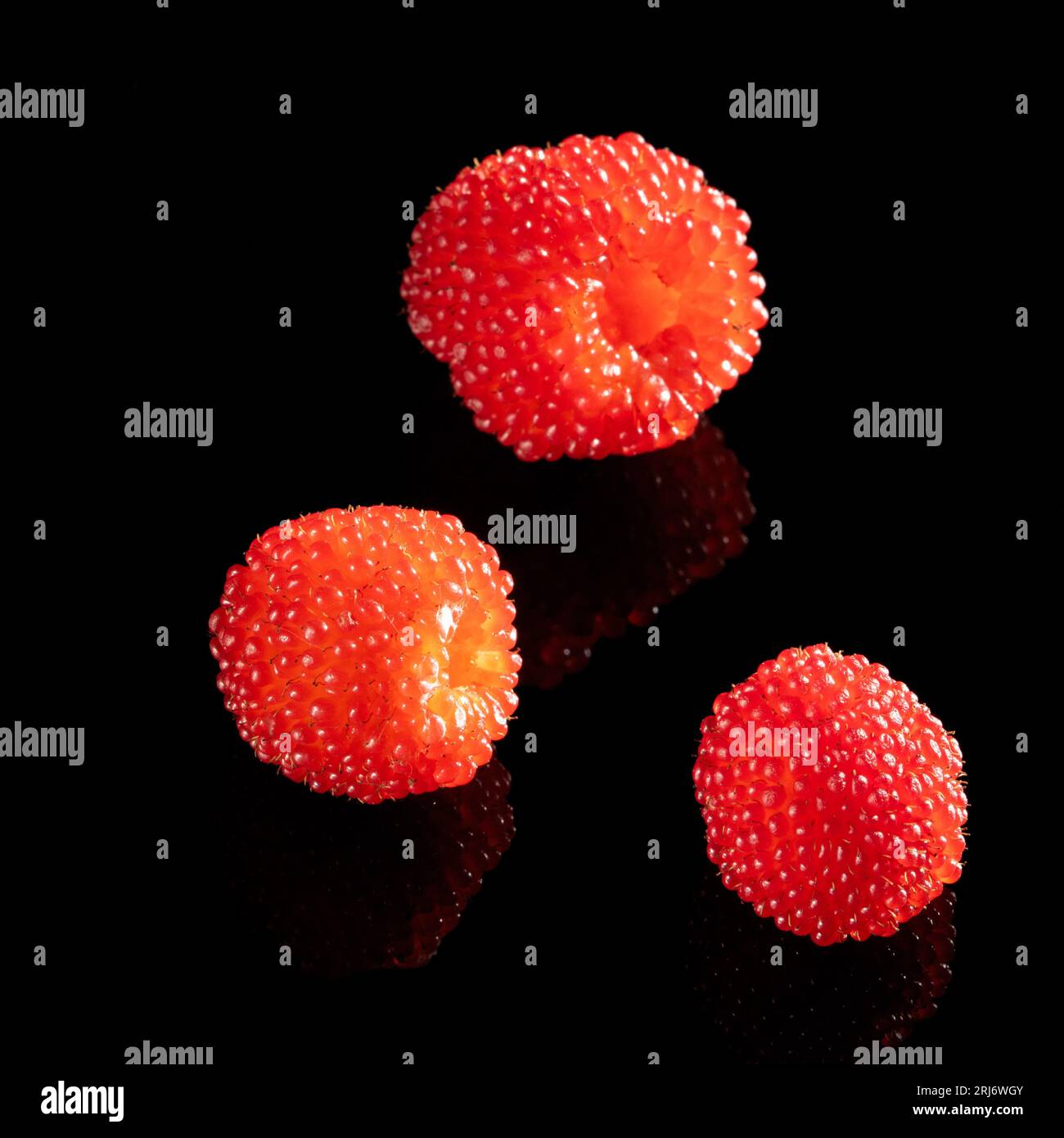 Drei Himbeeren spiegeln sich wunderschön in einem schwarzen Spiegeltisch wider. Kontrastreiches Foto Stockfoto