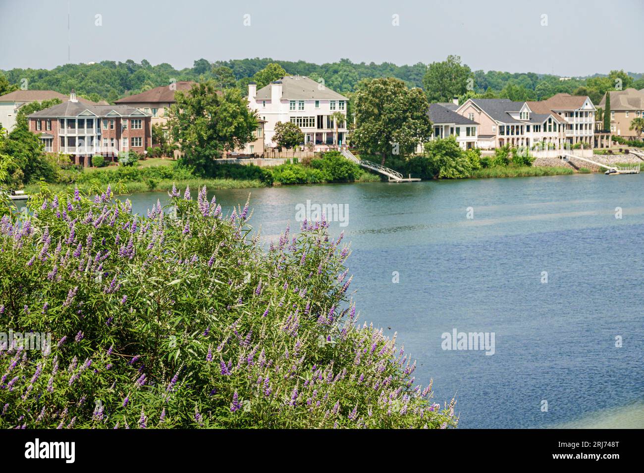 Augusta Georgia, Oglethorpe Park Riverwalk, entlang Savannah River, South Carolina Flussufer Häuser Stockfoto