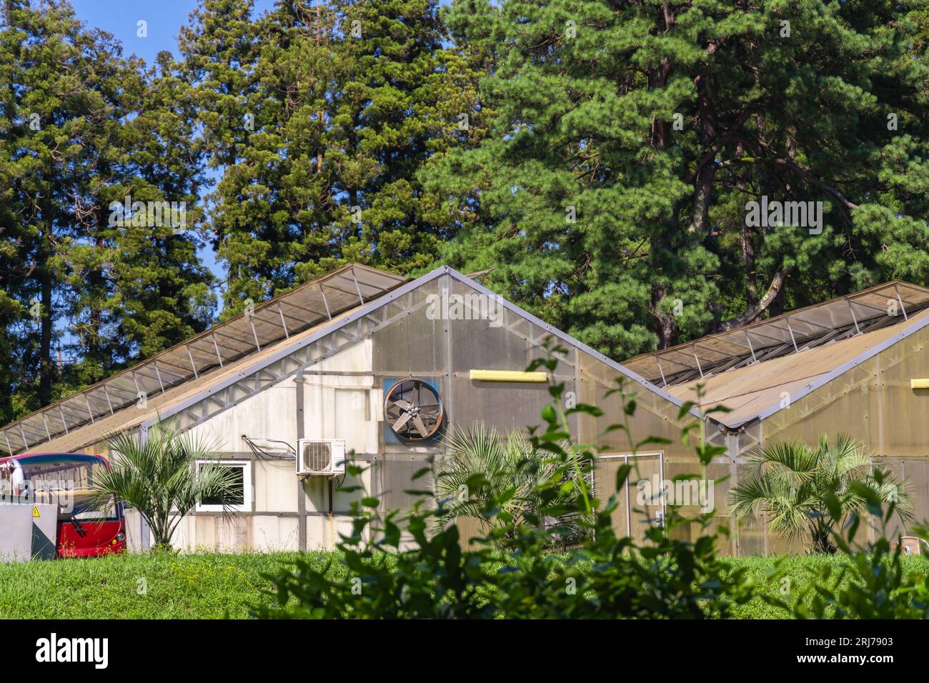 Nahaufnahme eines großen Gewächshauses aus Polycarbonat mit Ventilator, Klimaanlage an einem sonnigen Tag vor dem Hintergrund grüner Bäume Stockfoto