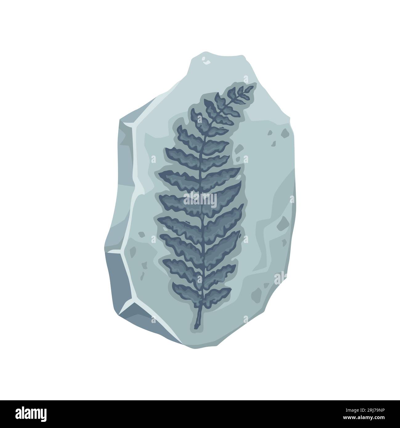 Pflanzenfossilien, alte Steinfarnblätter, Vektor prähistorische Natur, Paläontologie Wissenschaft. Graues Karikaturgestein mit Silhouette einer prähistorischen tropischen Dschungelwaldpflanze, Jurassisches Farnfossil Stock Vektor
