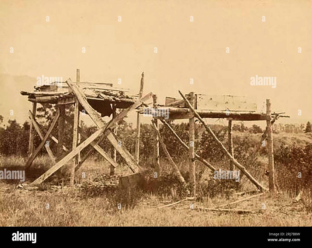 SKY BURIAL Crowe Tribal BURIAL Tree on the Yellowstone, near Shields River, in 1871..jpg - 2RJ7B Stockfoto