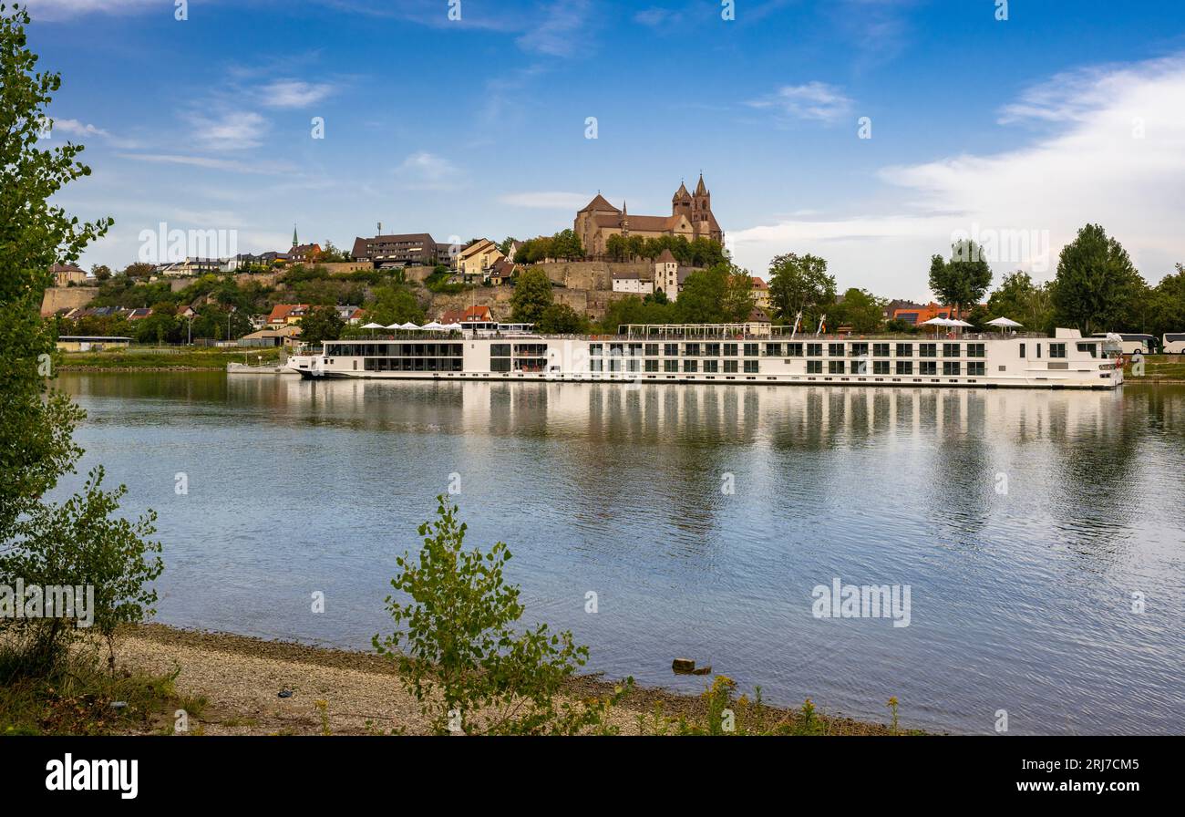 Blick über den Rhein zum Münsterberg mit St. Stephansmünster, Breisach am Rhein, Kaiserstuhl, Breisgau, Schwarzwald, Baden-Wuer Stockfoto