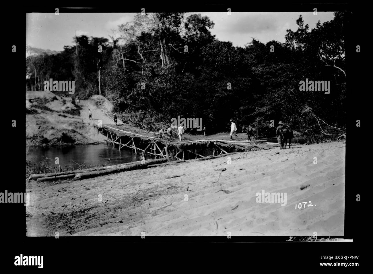 Ponte de Madeira sobre Igarapé - 1072 1910 von Dana B. Merrill Stockfoto