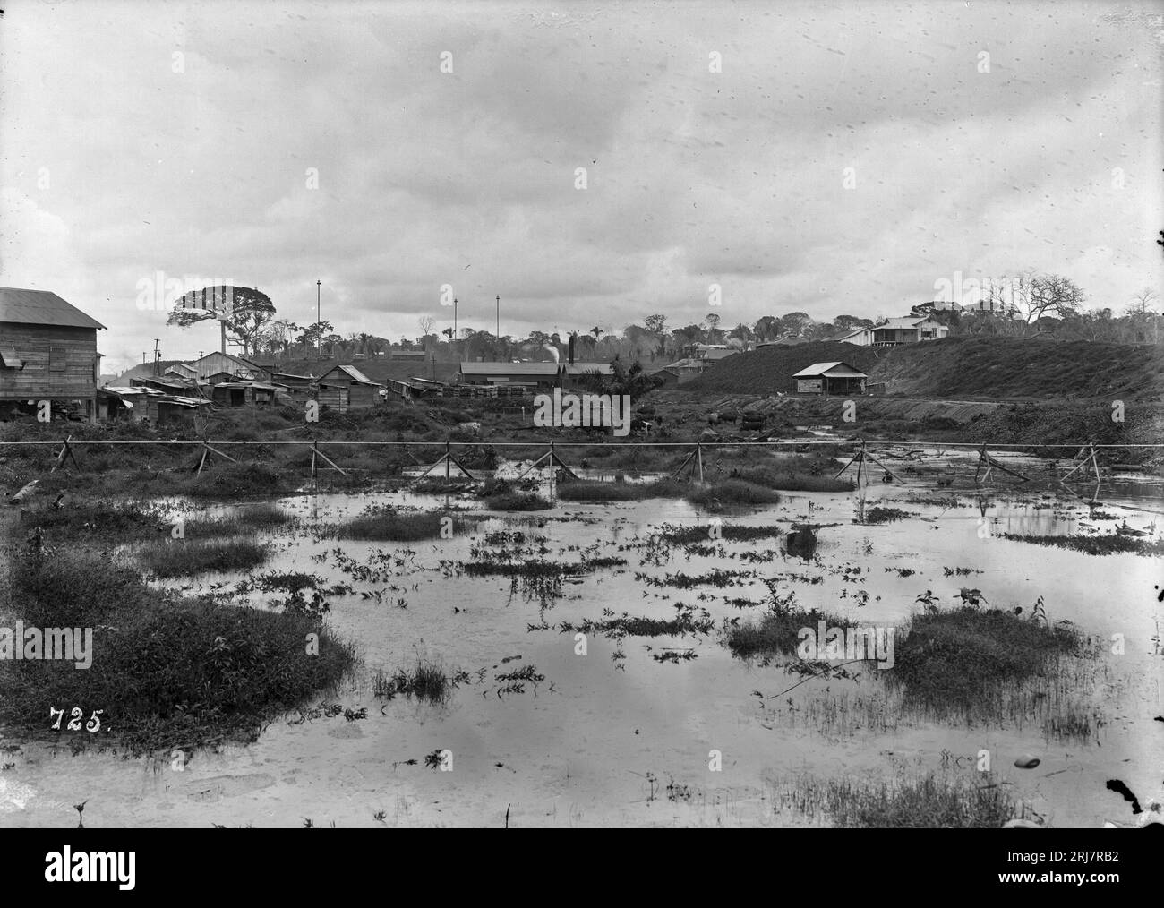 Vista Parcial de Porto Velho em Primeiro Plano, Terreno Pantanoso ao Longo da Ferrovia - 725 1910 von Dana B. Merrill Stockfoto