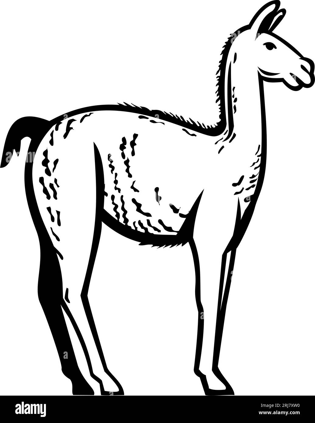 Maskottchen-Illustration von wildem Guanaco oder Lama guanicoe, einem Kameliten aus Südamerika, das eng mit dem Lama verwandt ist, das von der Seite auf isolierten bac gesehen wird Stockfoto