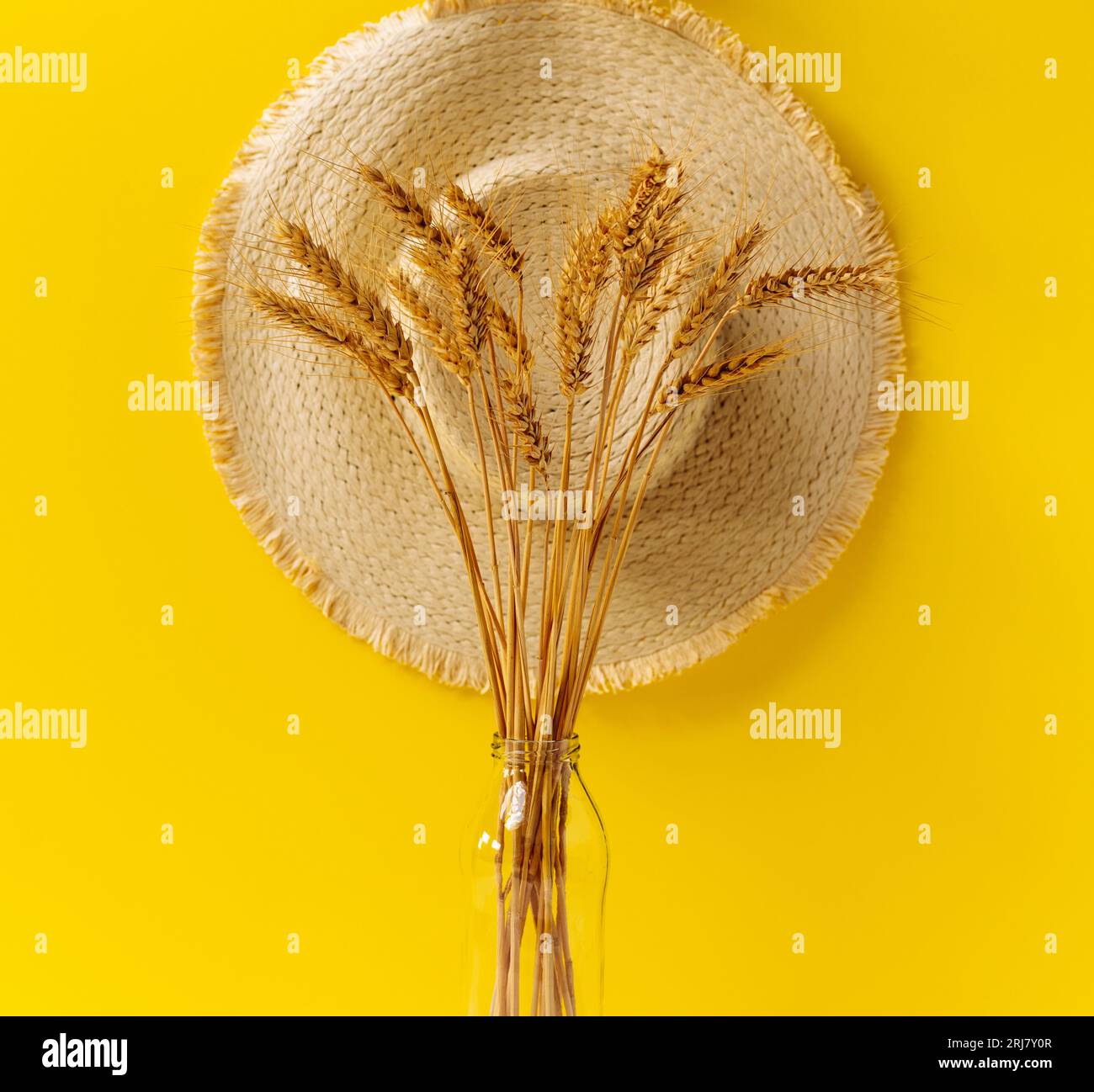 Gelber getrockneter Weizen in Glasvase vor Strohsonnenhut und gelbem Hintergrund. Stockfoto