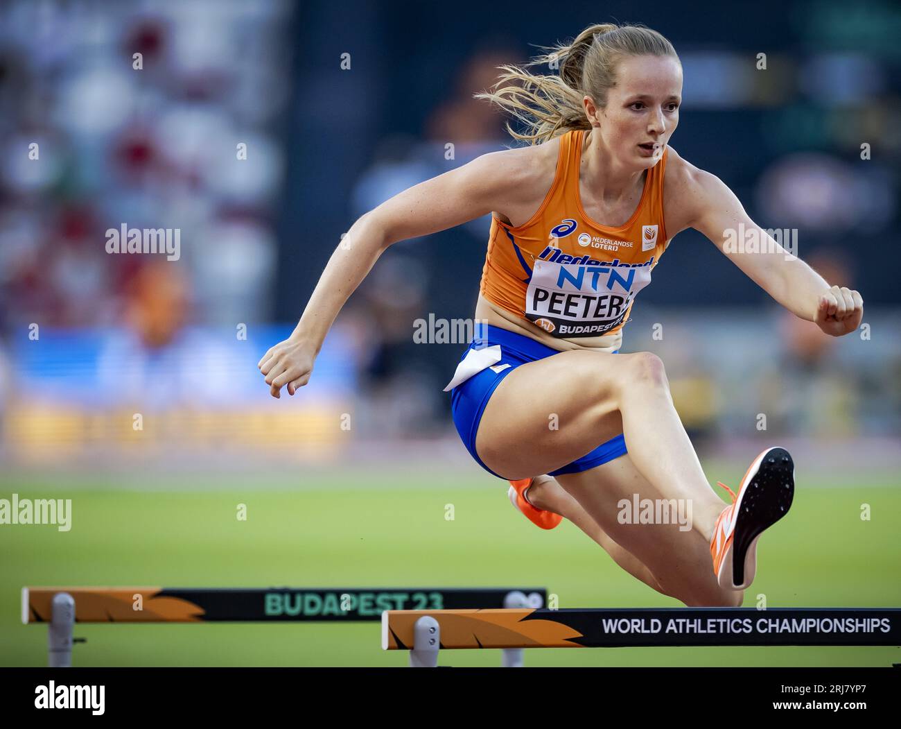 Budapest, Ungarn. August 2023. BUDAPEST - Cathelijn Peeters in Aktion auf den 400 Meter Hürden während des dritten Tages der Leichtathletik-Weltmeisterschaften. ANP ROBIN VAN LONKHUIJSEN Credit: ANP/Alamy Live News Stockfoto