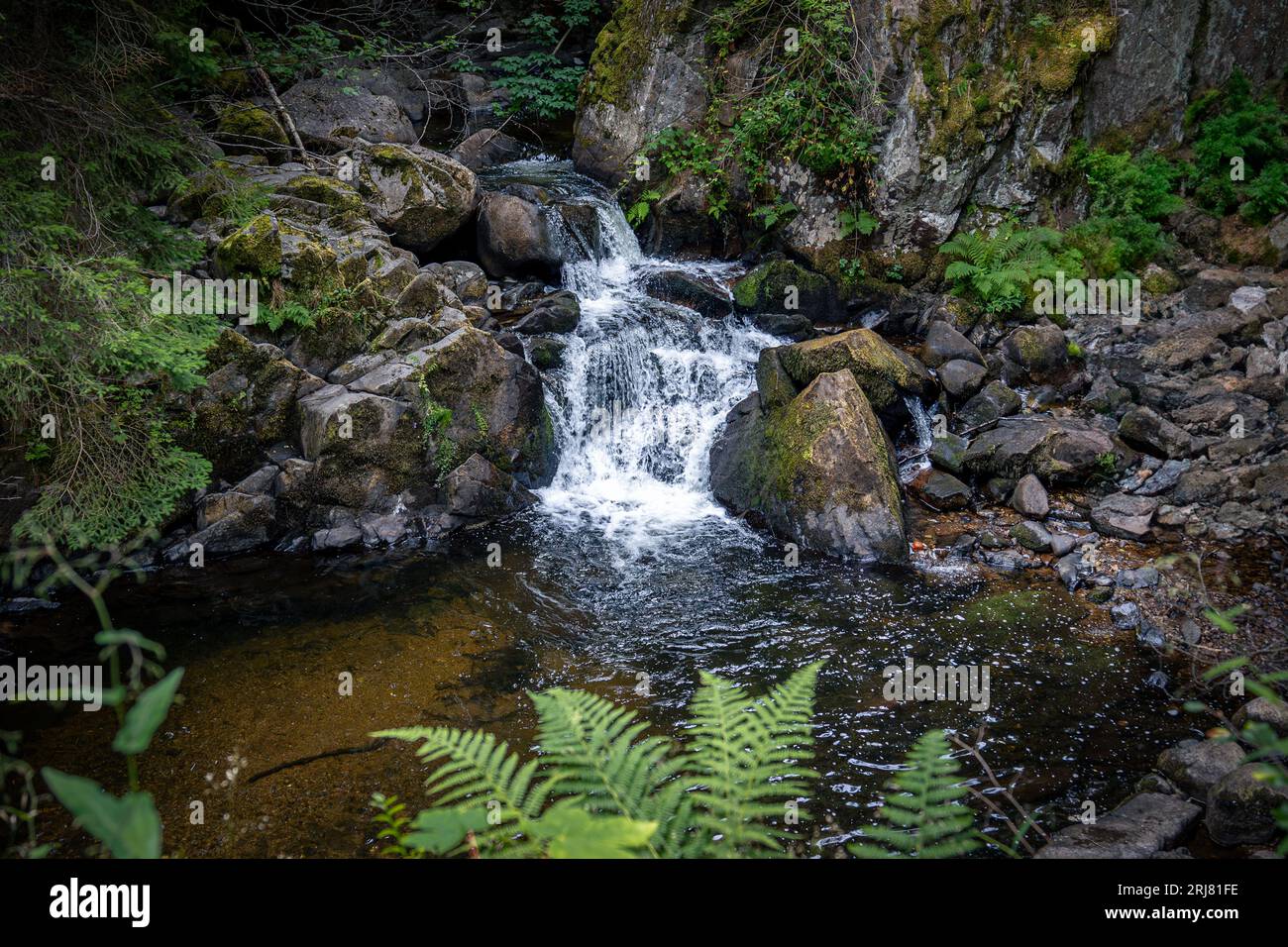 Die wunderschönen Wälder, Bäche und Wasserfälle im Gebiet der französischen Vogesen, dieses Foto wurde an der sogenannten „Cascade Saut des Cuves“ aufgenommen. Stockfoto