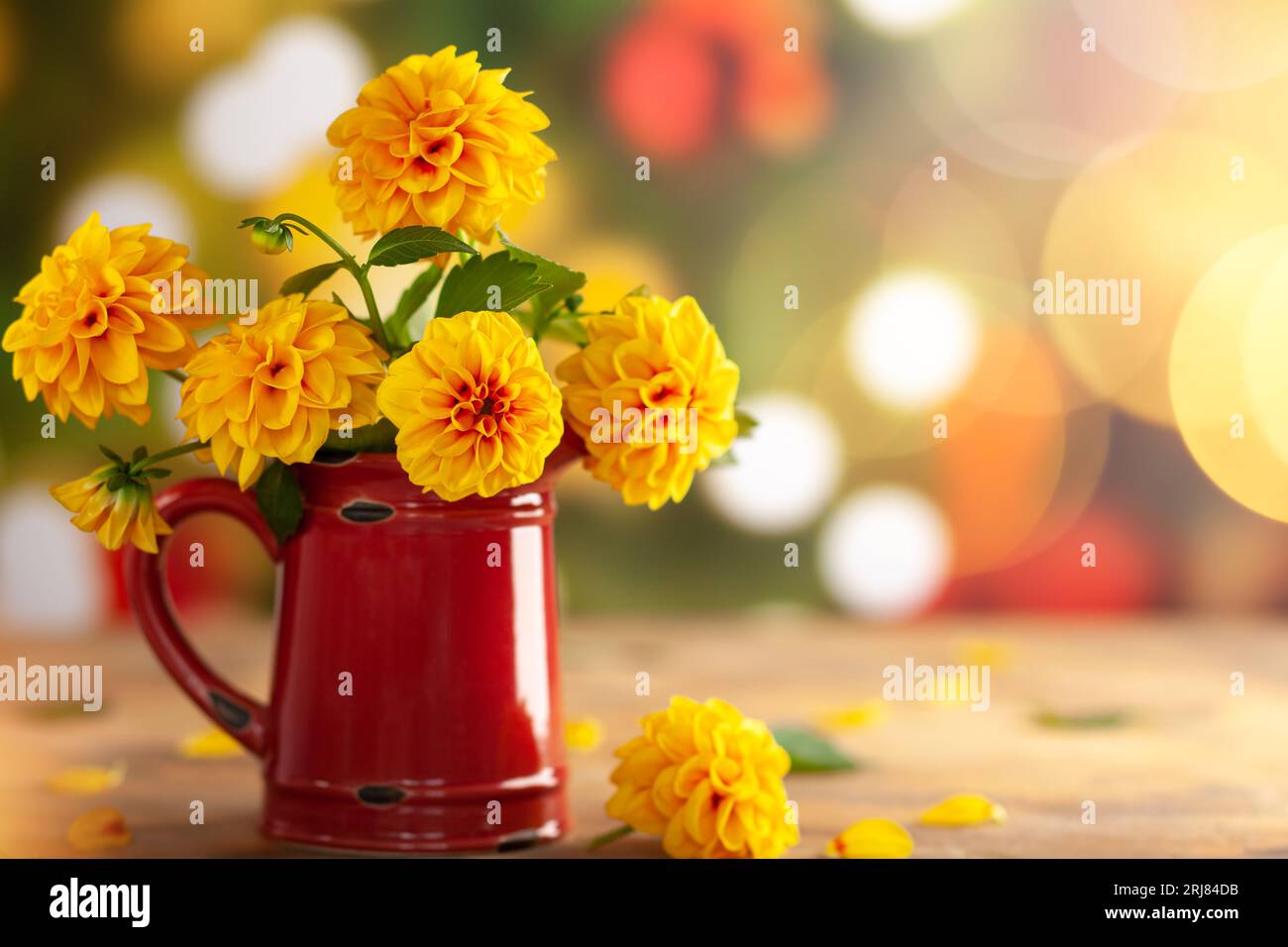 Herbstlicher Blumenstrauß aus frischer gelber Dahlie in Vintage-Rotkrug auf unscharfem grünem Hintergrund mit festlichem Bokeh. Stockfoto