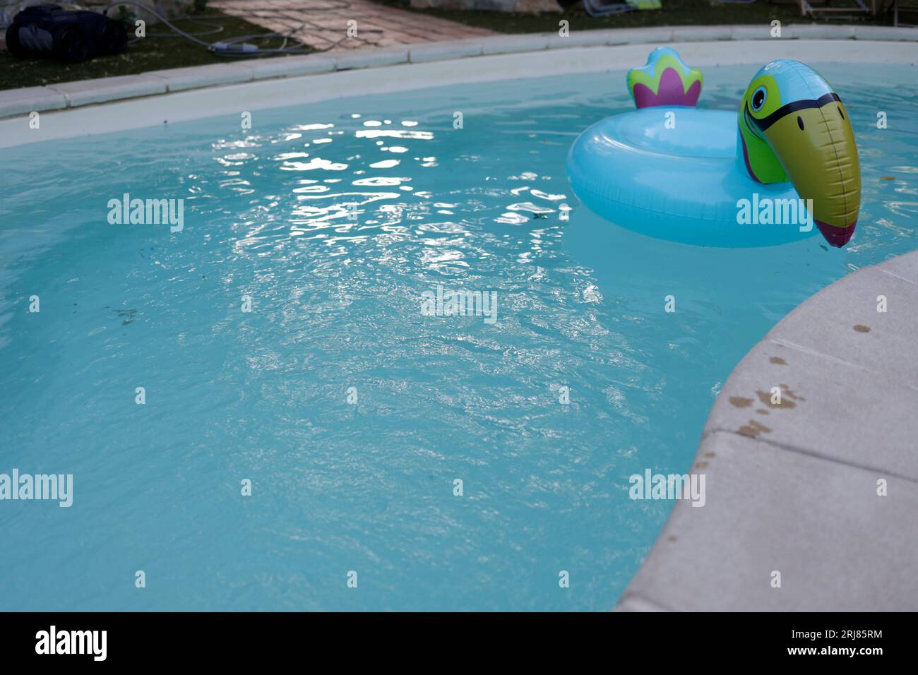 Blaues aufblasbares Spielzeug Vogel im Pool Stockfoto
