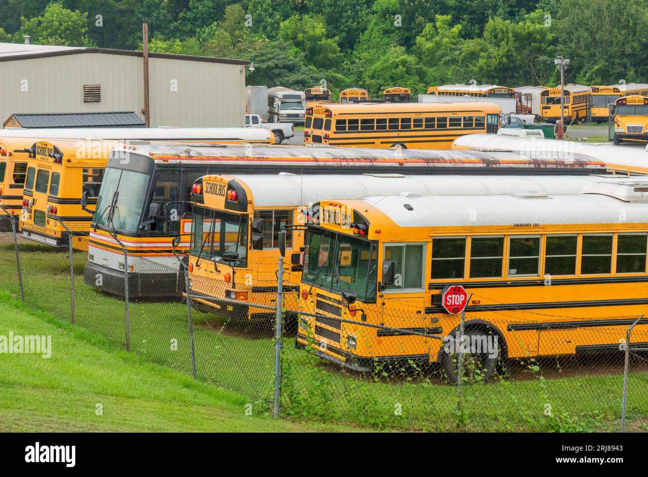 Horizontale Aufnahme von vielen Schulbussen in einem Schulbuslager. Stockfoto