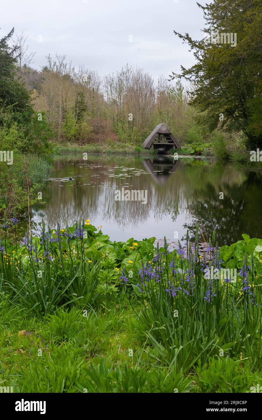 Mittelalterlicher 'Stew Pond', oder Fischteich, jetzt als Wassergarten rekonstituiert, Arundel Castle Grounds, Arundel, West Sussex, England, Großbritannien Stockfoto
