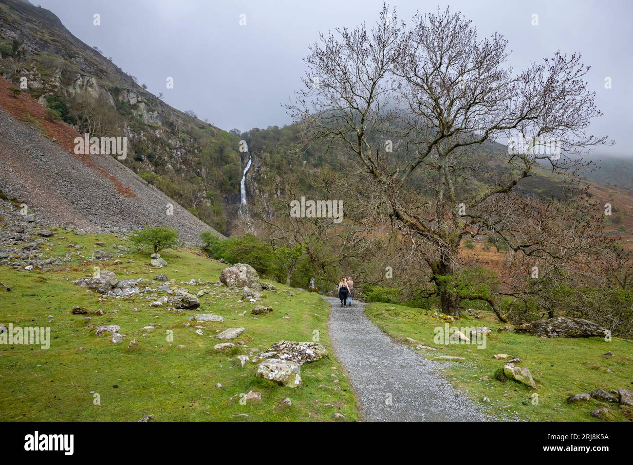 Wanderweg zu den Aber Falls ein spektakuläres Merkmal am Rande der Carneddau Berge in Nordwales. Stockfoto