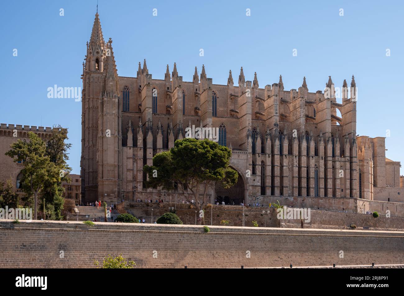 Palma de Mallorca, Spanien - 28. Juli 2023: Fantastische gotische Kathedrale Santa Maria de Majorica in Palma. Stockfoto