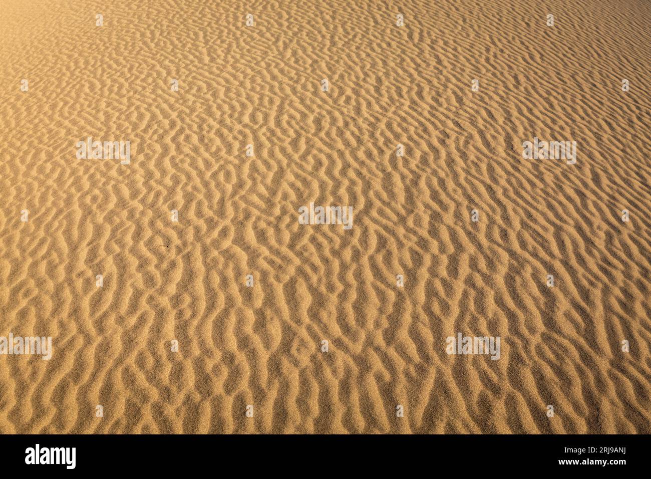 Eine weite Fläche von Wüstensand, unberührt und frei von menschlichen Aktivitäten Stockfoto