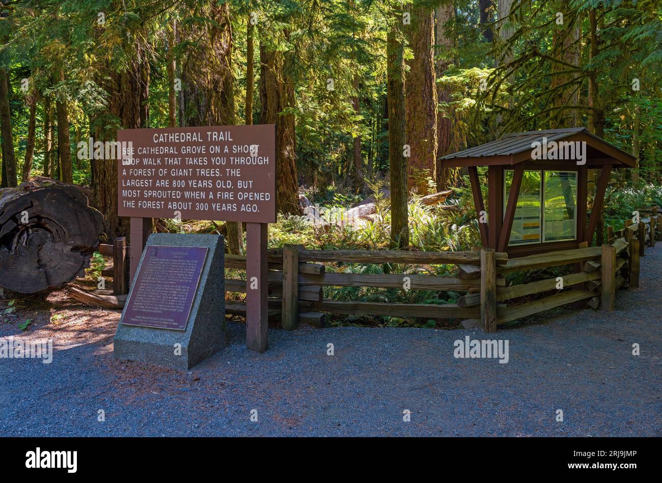 Eintritt zum Cathedral Grove Walking Trail, Macmillan Provincial Park, Vancouver Island, British Columbia, Kanada. Stockfoto
