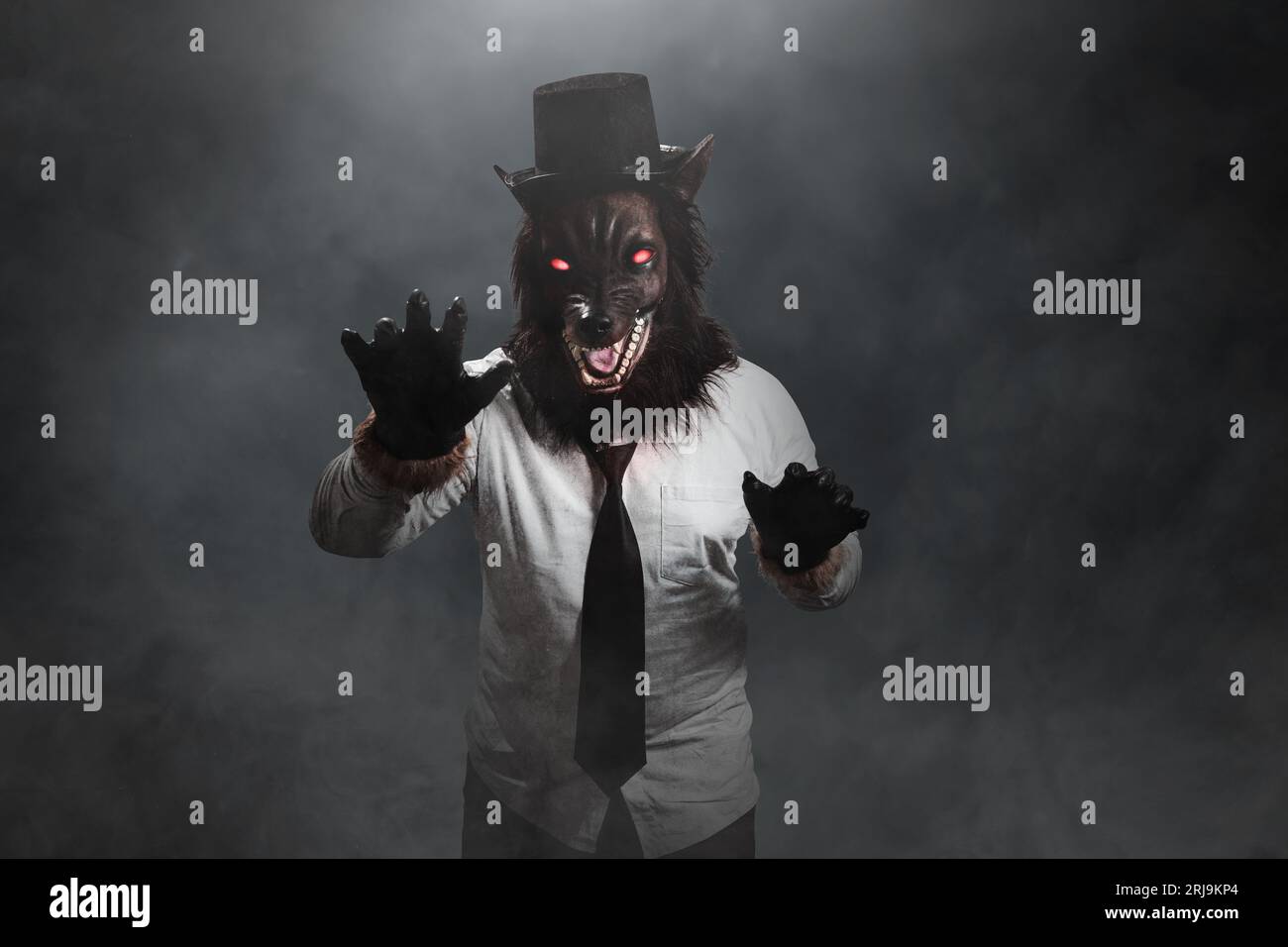 Ein Werwolf, der im dunklen Hintergrund steht. Grusel Wolf Halloween Konzept Stockfoto