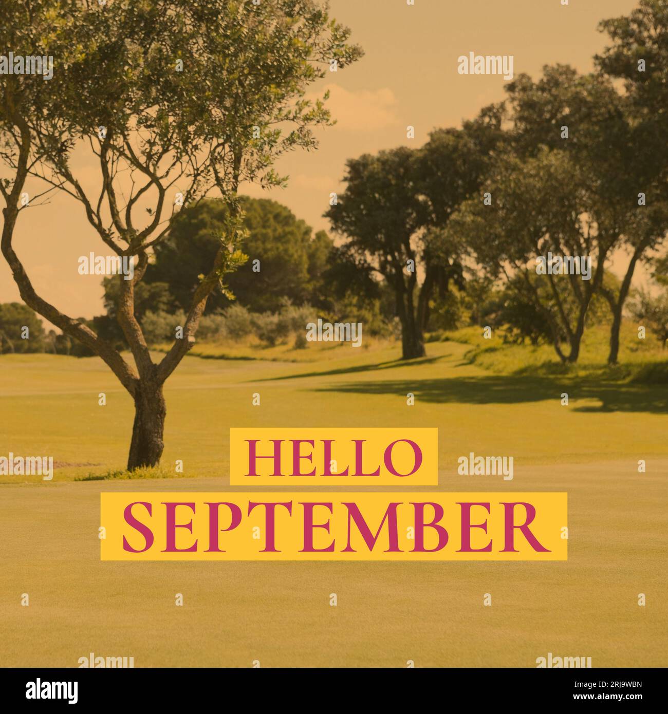 Komposition aus „Hallo september“-Text über Bäumen im Garten Stockfoto