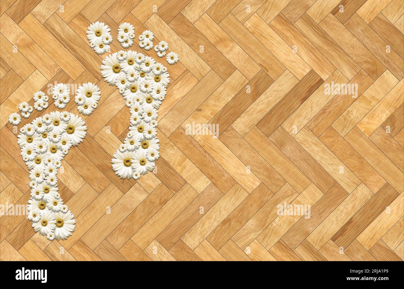 Gänseblümchenblumen in Fußabdrücken (menschliche Füße) angeordnet, auf einem perfekten Fischgrätenparkett mit Kopierraum. Stockfoto