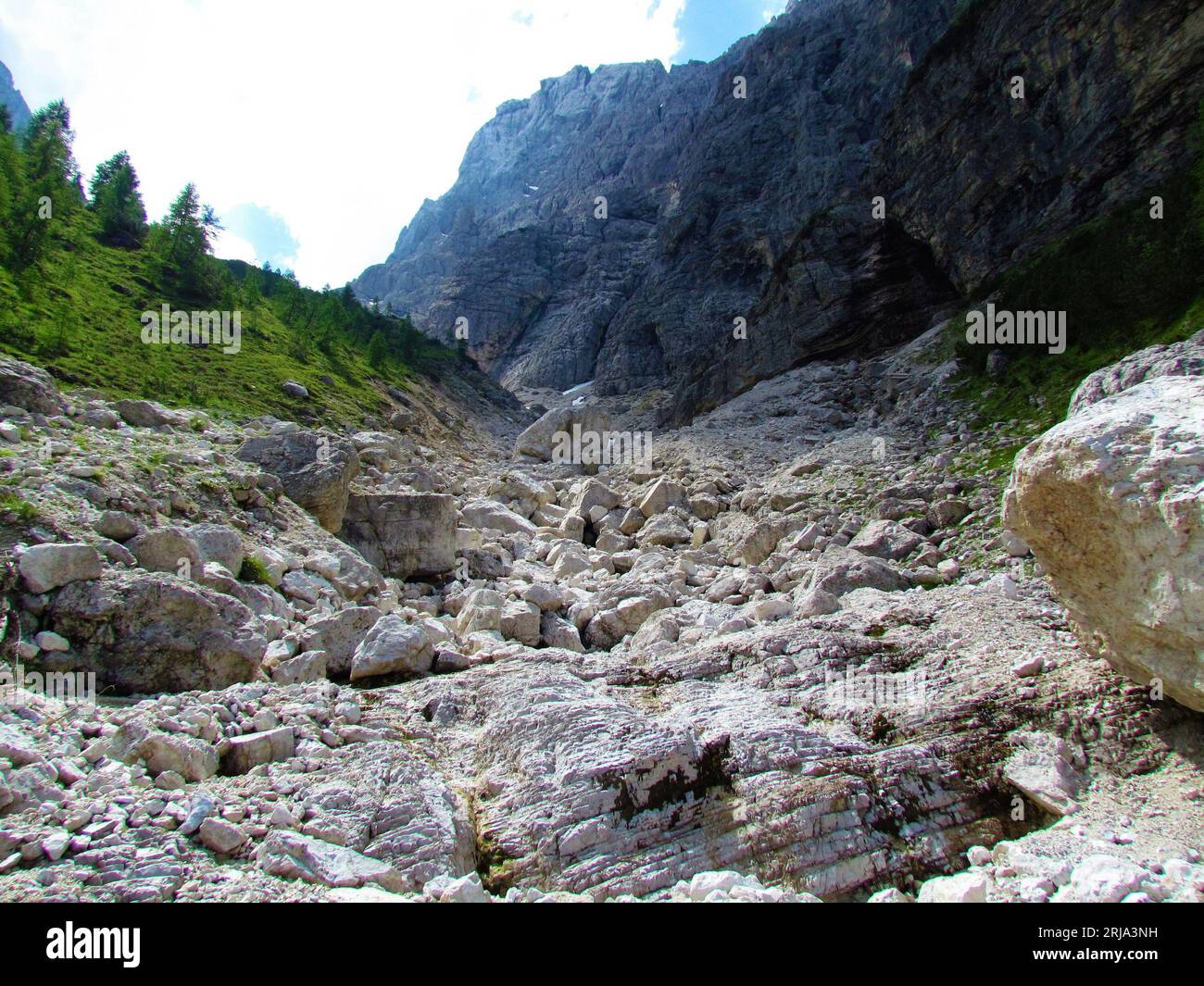 Alpenlandschaft mit großen Felsbrocken und Gletschererratiken im Krnika-Tal in Julischen alpen und im Triglav-Nationalpark in Slowenien Stockfoto