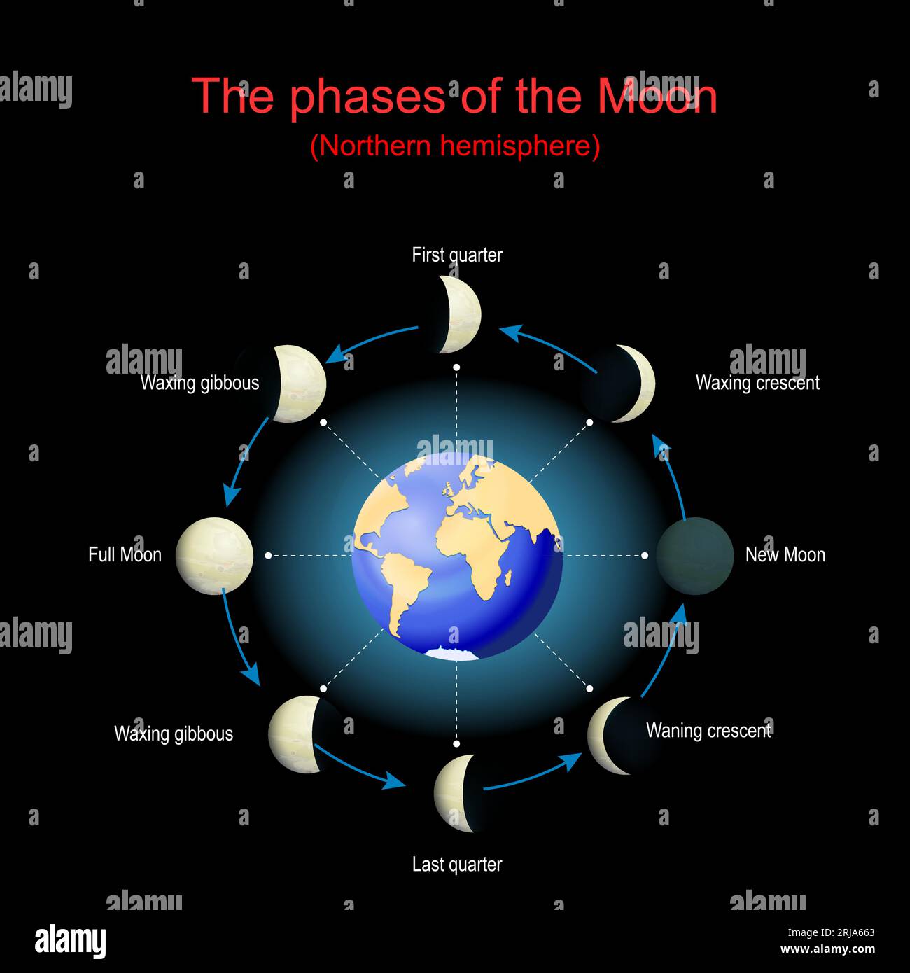 Die Mondphasen für die nördliche Hemisphäre. Mondzyklus. Mondphasen hängen von der Position des Mondes in der Erdumlaufbahn und der Position der Erde ab Stock Vektor