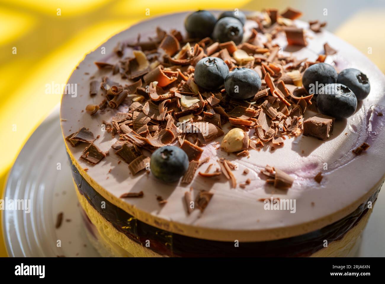 Köstlicher Blaubeerkuchen mit Schokoladenchip auf der Oberseite. Stockfoto