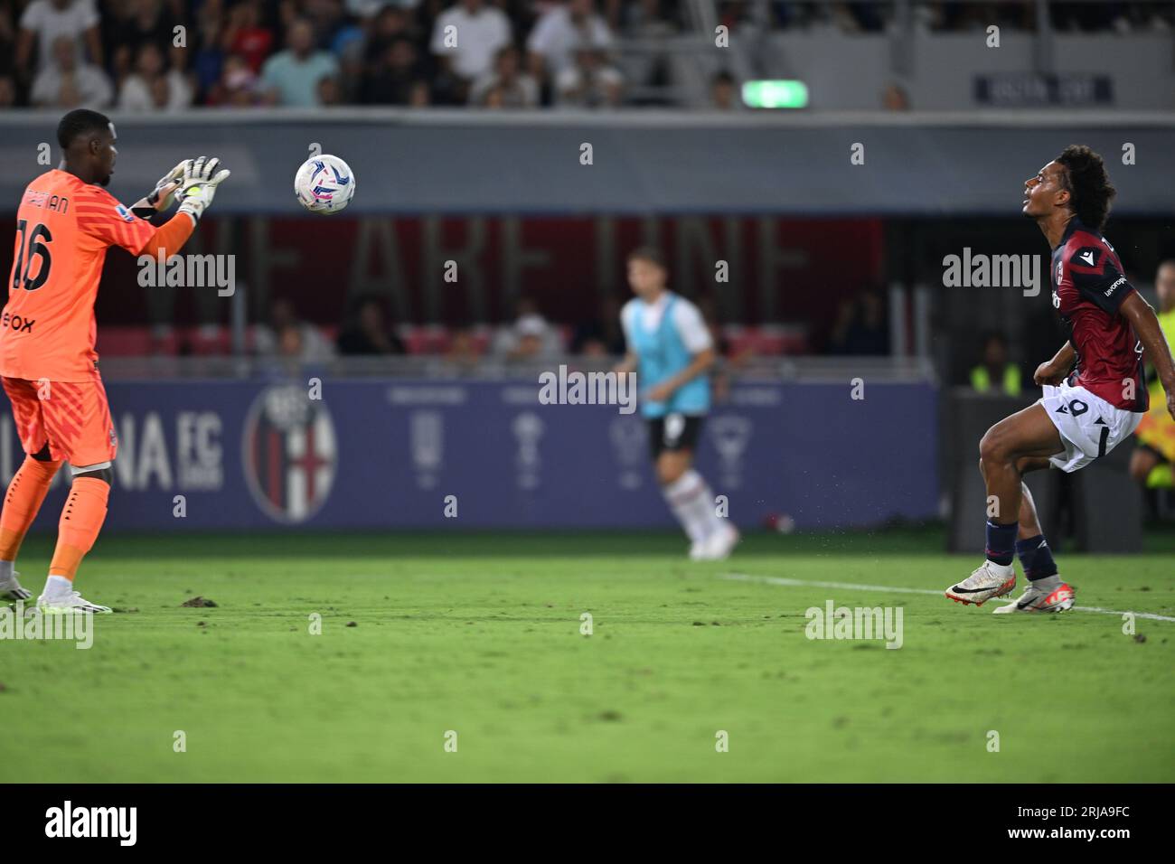Bologna, Italien. August 2023. Mike Maignan (Mailand)Joshua Zirkzee (Bologna) während des italienischen „Serie A“-Spiels zwischen Bologna 0-2 Mailand im Renato Dall Ara Stadion am 21. August 2023 in Bologna, Italien. Kredit: Maurizio Borsari/AFLO/Alamy Live News Kredit: Aflo Co Ltd./Alamy Live News Stockfoto