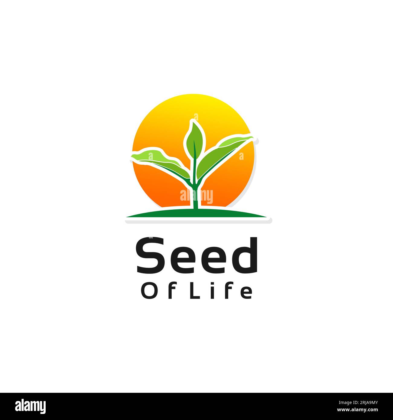 Growing Seeds Nature Ecology Logo Für Plantation Agriculture Design Inspiration Stock Vektor