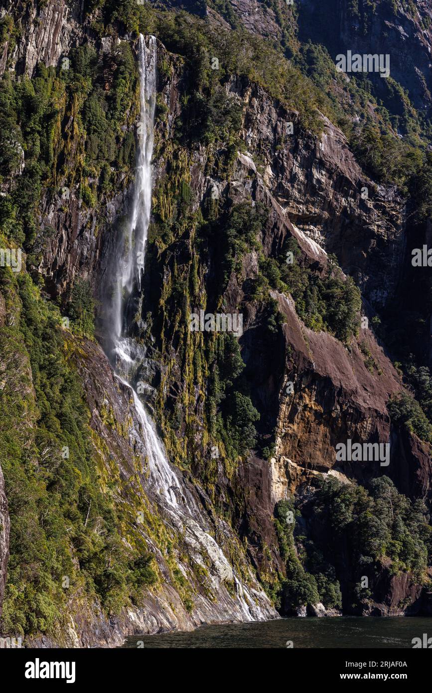 Ein Bild eines kleinen Wasserfalls umgeben von üppiger Pflanzenwelt. Dieses Foto wurde in den Milford Sounds von Neuseeland aufgenommen Stockfoto