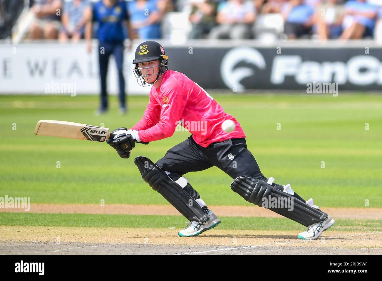 Hove UK 22. August 2023 - Tom Alsop von Sussex Sharks trifft den Ball für vier Runs gegen Warwickshire während ihres One Day Cup Cricket Matches auf dem 1st Central County Ground in Hove: Credit Simon Dack/TPI/Alamy Live News Stockfoto