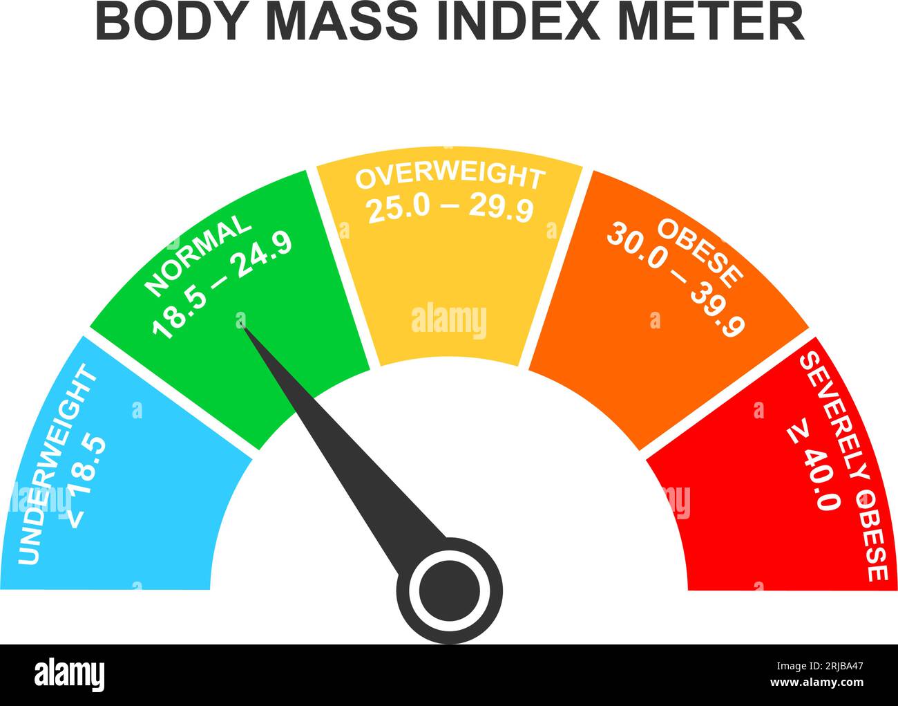 Body-Mass-Index-Messgerät. Infografik BMI-Dashboard mit Pfeil. Gewichtsmessskala mit untergewichtigen, normalen, übergewichtigen und adipösen Bereichen. Vektor-Illustration. Stock Vektor