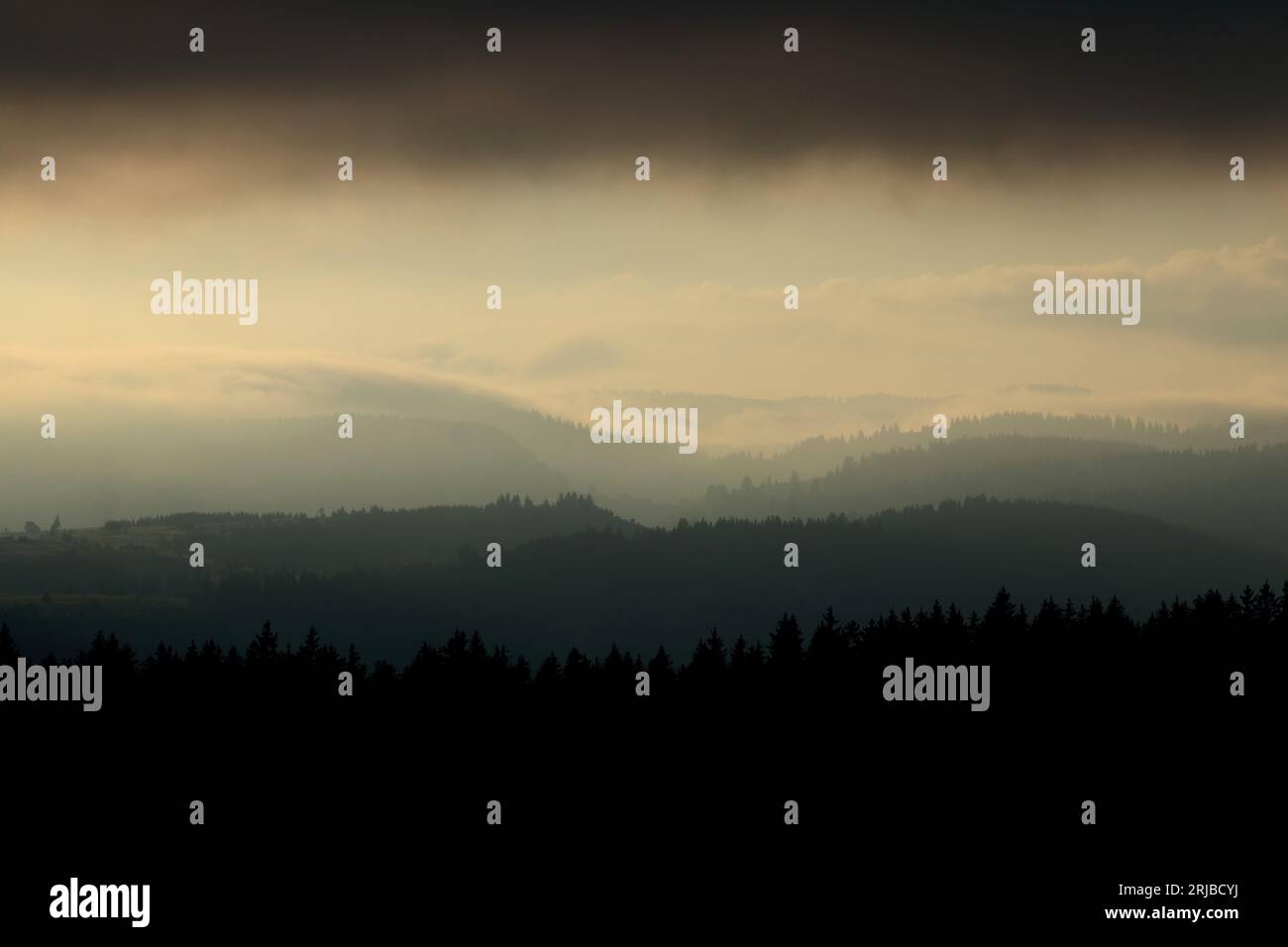 Nebelhafte Morgenszene auf dem Berg Stockfoto