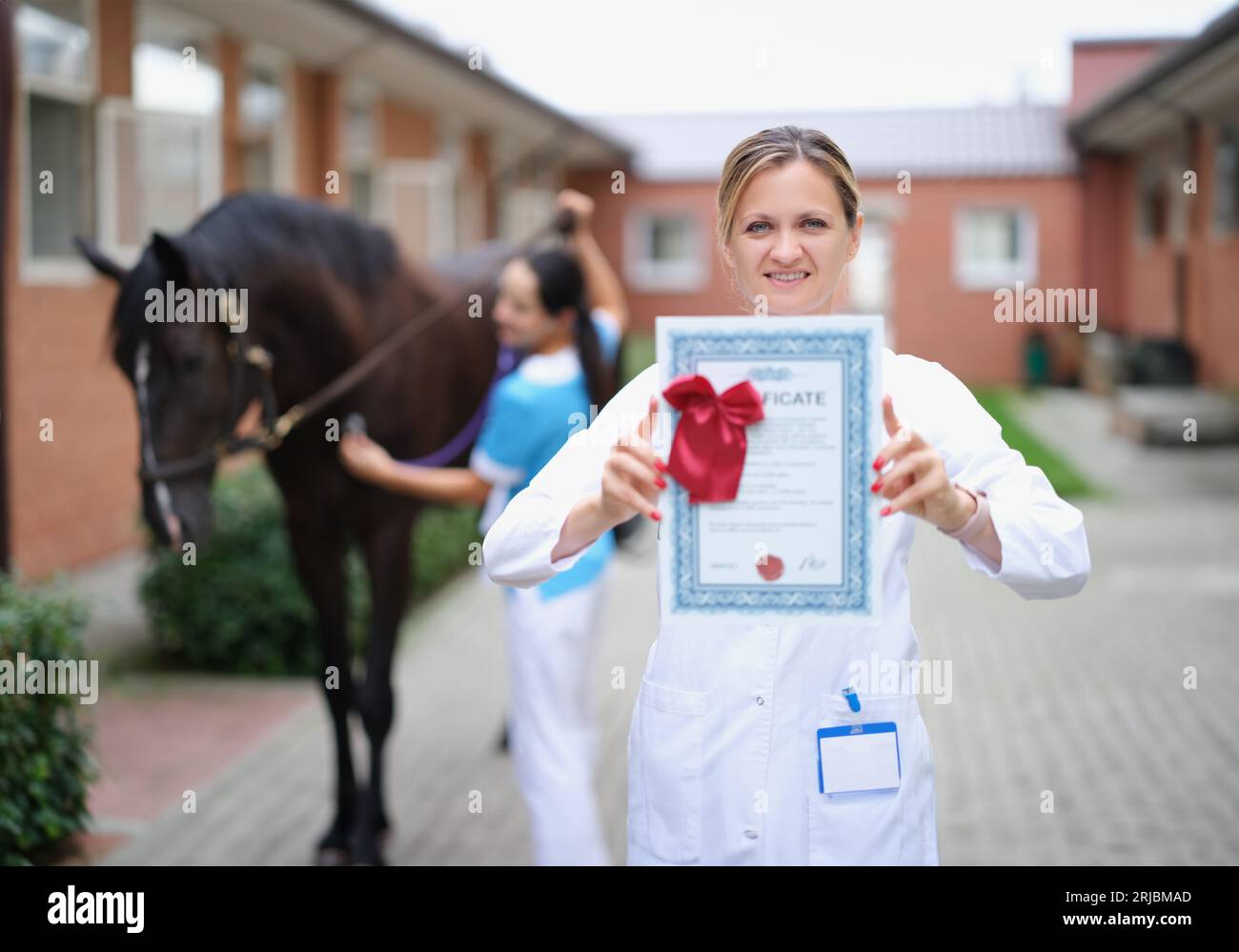 Eine Tierärztin besitzt ein ärztliches Attest für Pferde Stockfoto