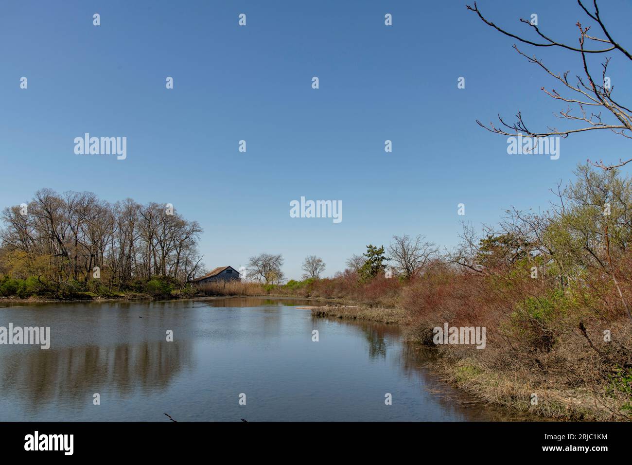 Old Greenwich, CT, USA-Mai 2022: Blick über einen der kleinen Seen im Greenwich Point Park oder Tods Point im frühen Frühjahr vor einem klaren blauen Himmel und Wald Stockfoto