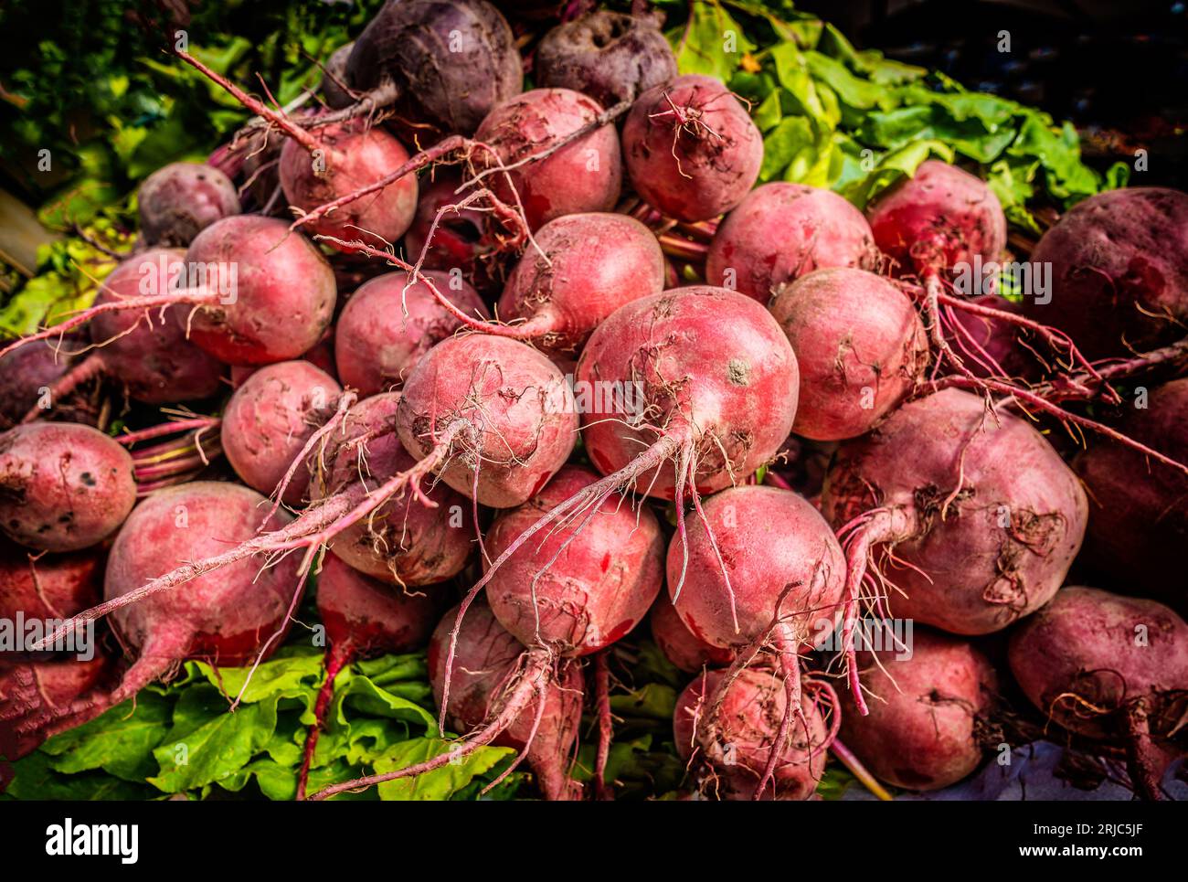 Rote Beete auf einem Bauernmarkt in Kopenhagen, Dänemark Stockfoto