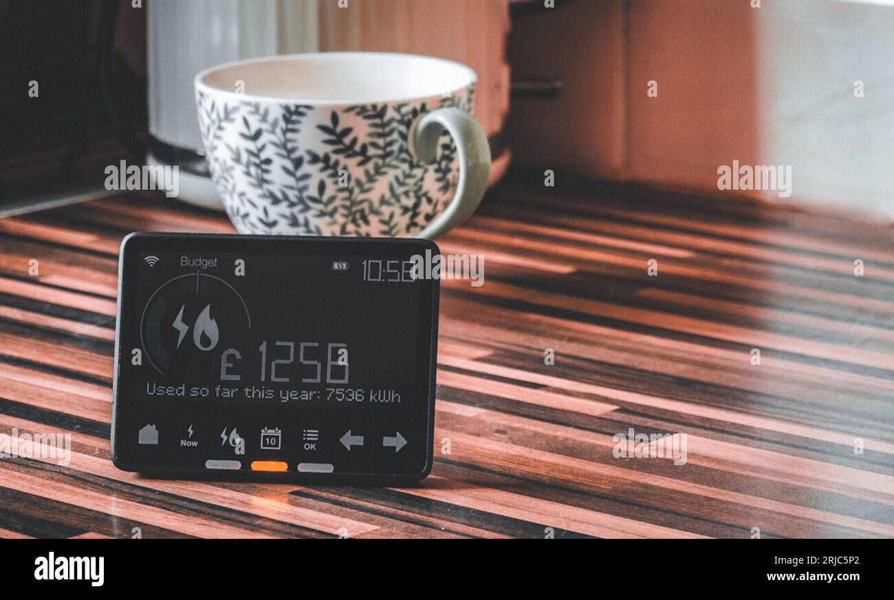 Intelligenter Zähler für Gas und Elektrizität Stockfoto