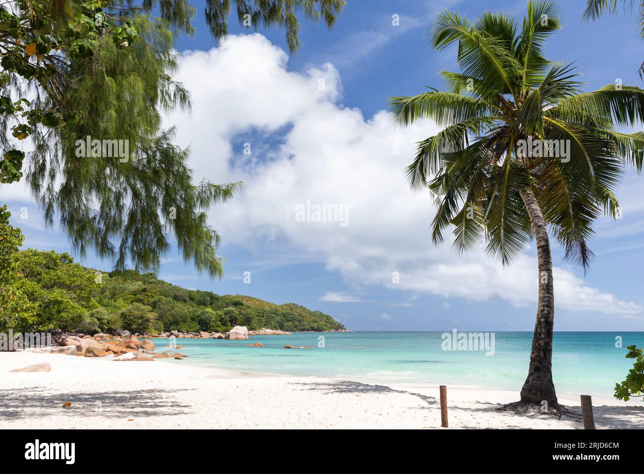 Anse Lazio Strand auf der Insel Praslin, Seychellen. Küstenlandschaft mit Palmen und weißem Sand unter blauem bewölktem Himmel an einem sonnigen Tag Stockfoto