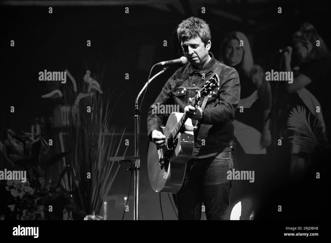 Noel Gallagher wurde als Noel Gallaghers High Flying Birds Headliner des Hardwick Festivals im 
