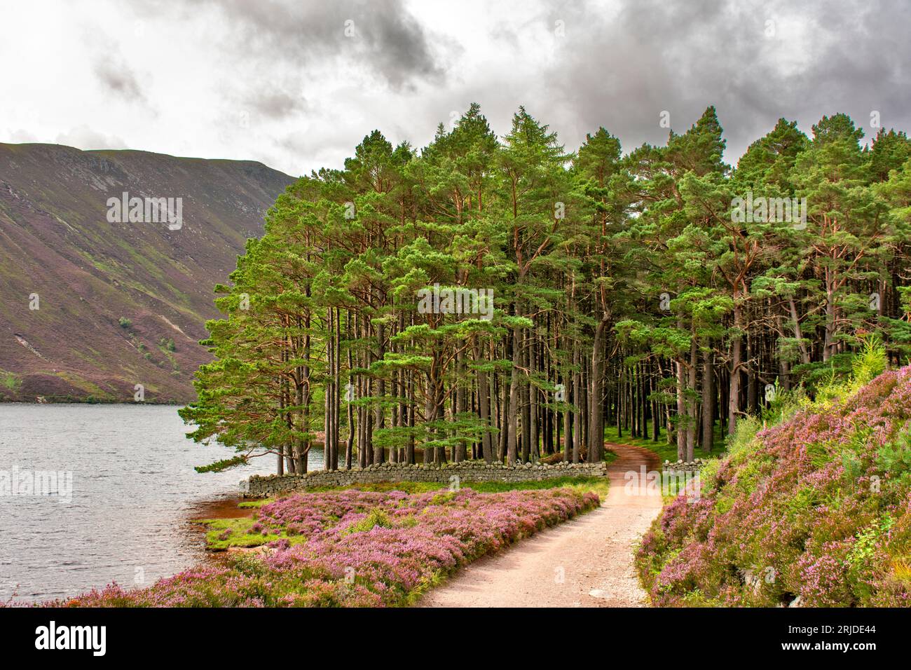 Loch Muick Ballater Balmoral Estate Scotland eine Steinmauer, die im Sommer an das Glas allt Shiel House heranführt Stockfoto