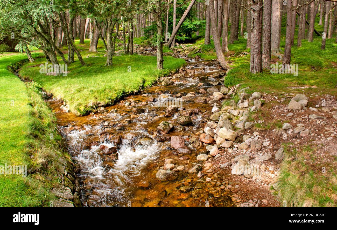 Loch Muick Ballater Balmoral Estate Scotland der Bach, der im Sommer an Glas allt Shiel House vorbeifließt Stockfoto