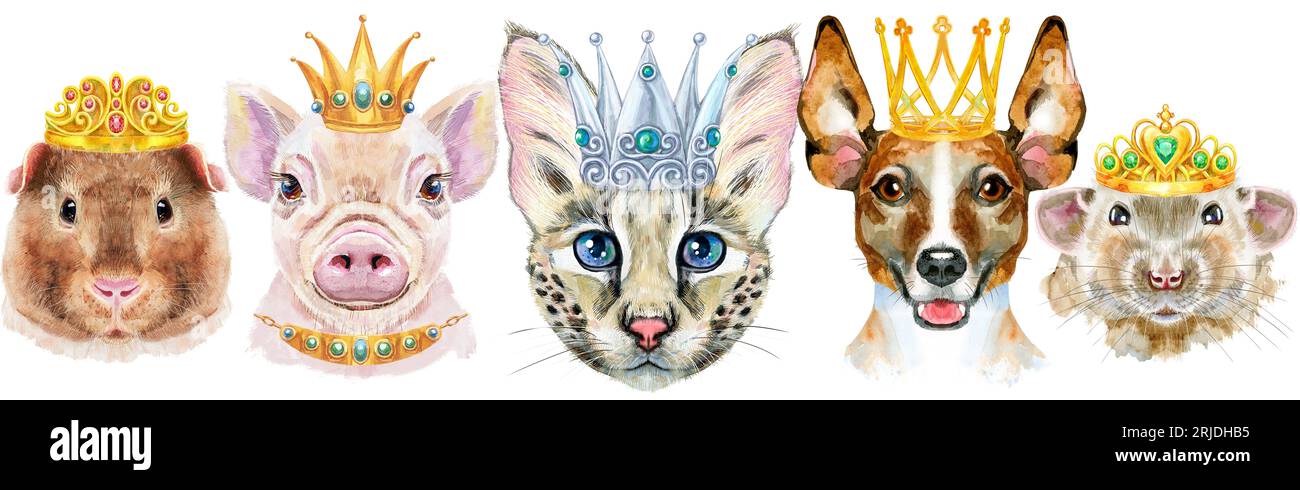 Haustiere an der Grenze. Handbemalte Aquarellzeichnung, isolieren Sie ClipArt auf weißem Hintergrund. Bannerdesign Stockfoto