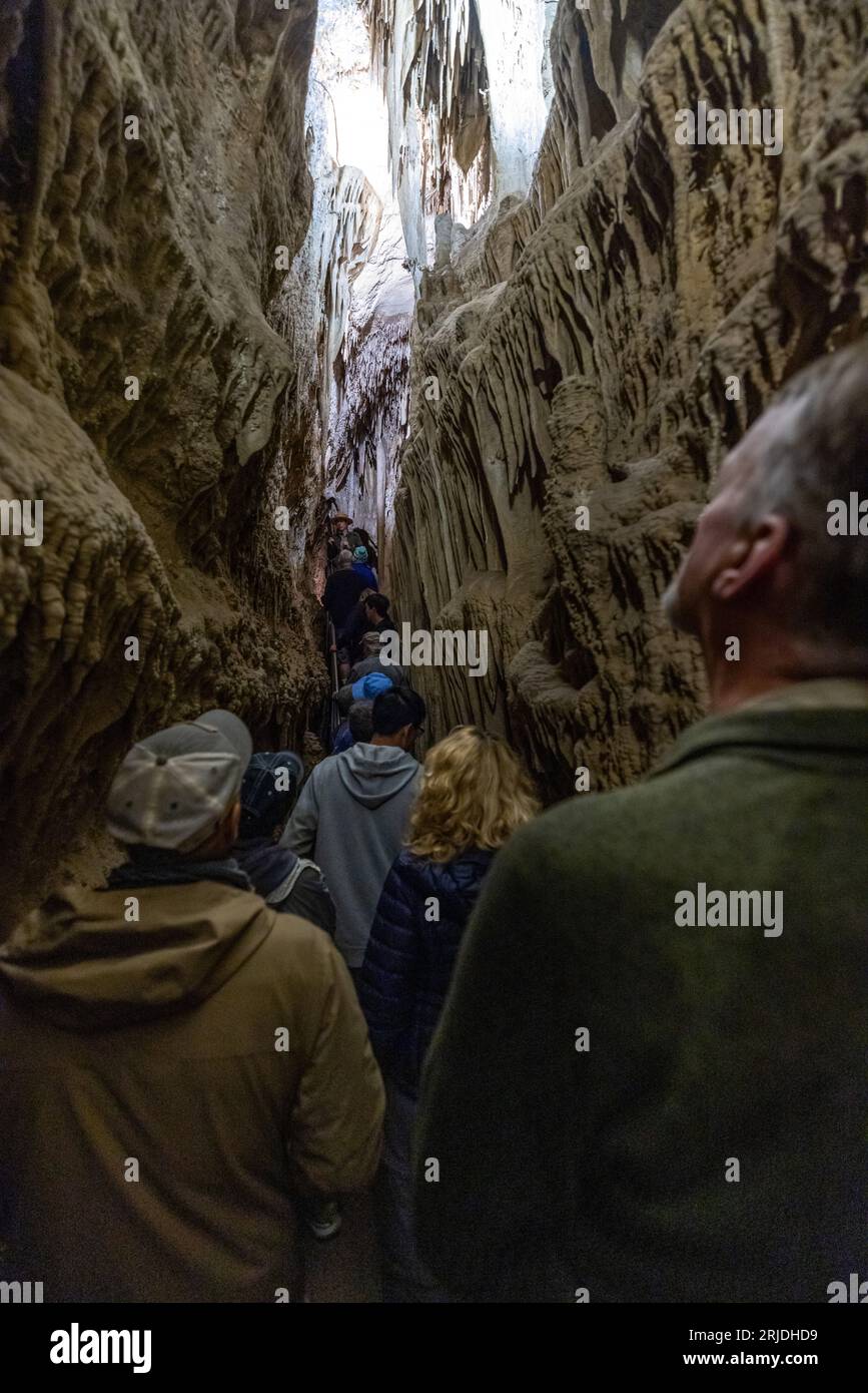 GREAT BASIN NATIONAL PARK, NEVADA USA - 22. JUNI: Park Ranger erklärt einer Gruppe von Touristen die Formationen in der Decke einer Höhle. Stockfoto