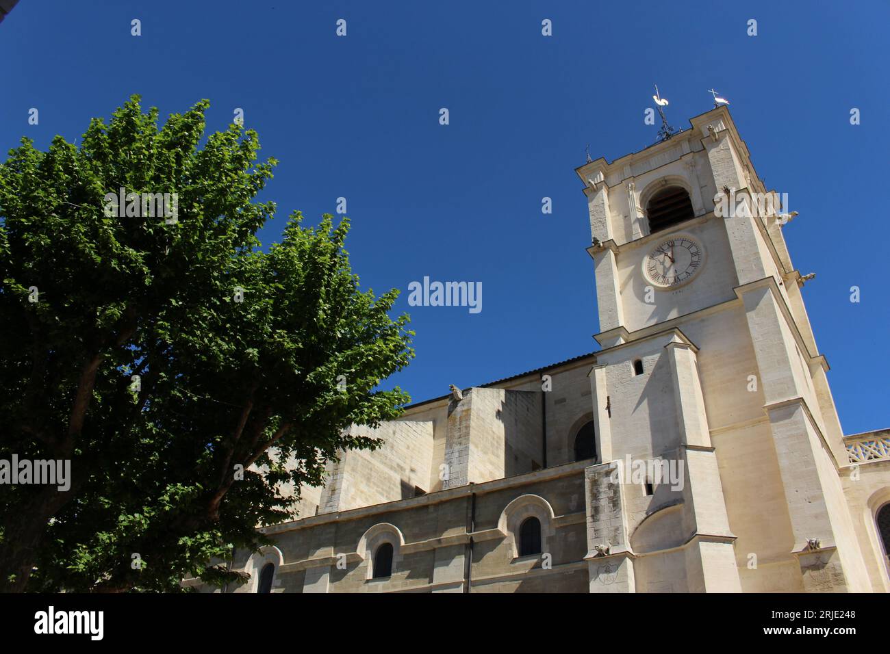 Stiftskirche Notre-Dame-des-Anges, Isle-sur-la-Sorgue, Vaucluse, Provence, Frankreich an einem wolkenlosen, sonnigen Frühlingstag Stockfoto