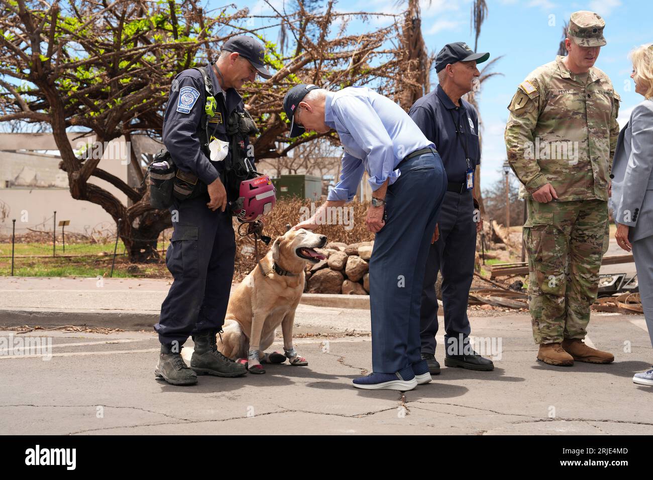 Maui, Hawaii (21. August 2023) – Präsident Biden nimmt einen der Hunde mit, die nach den Waldbränden in Hawaii bei der Suche und Rettung einfielen. Stockfoto