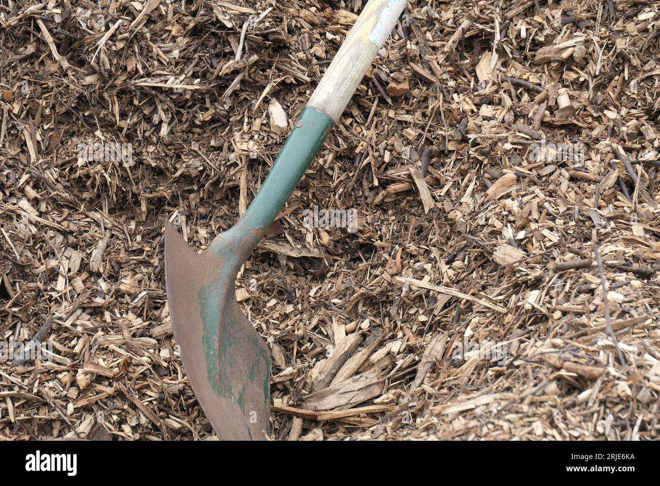 Nahaufnahme eines Haufens reifer kompostierter Holzspäne mit dem Gartenwerkzeug der runden Schaufel. Stockfoto