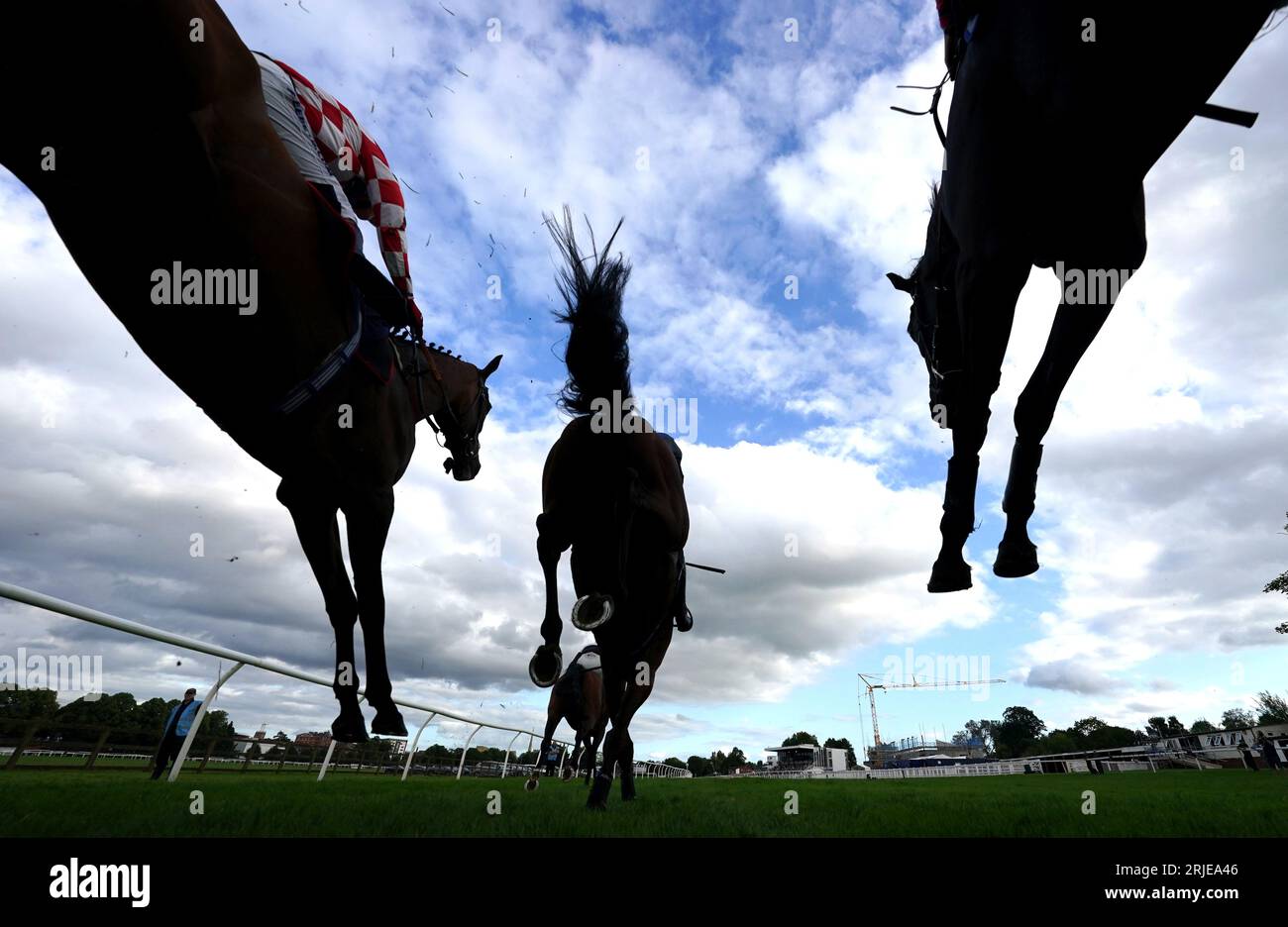 Läufer und Fahrer der Peter Dawson Forget Me Not Handicap Chase bei Worcester Races. Bilddatum: Dienstag, 22. August 2023. Stockfoto