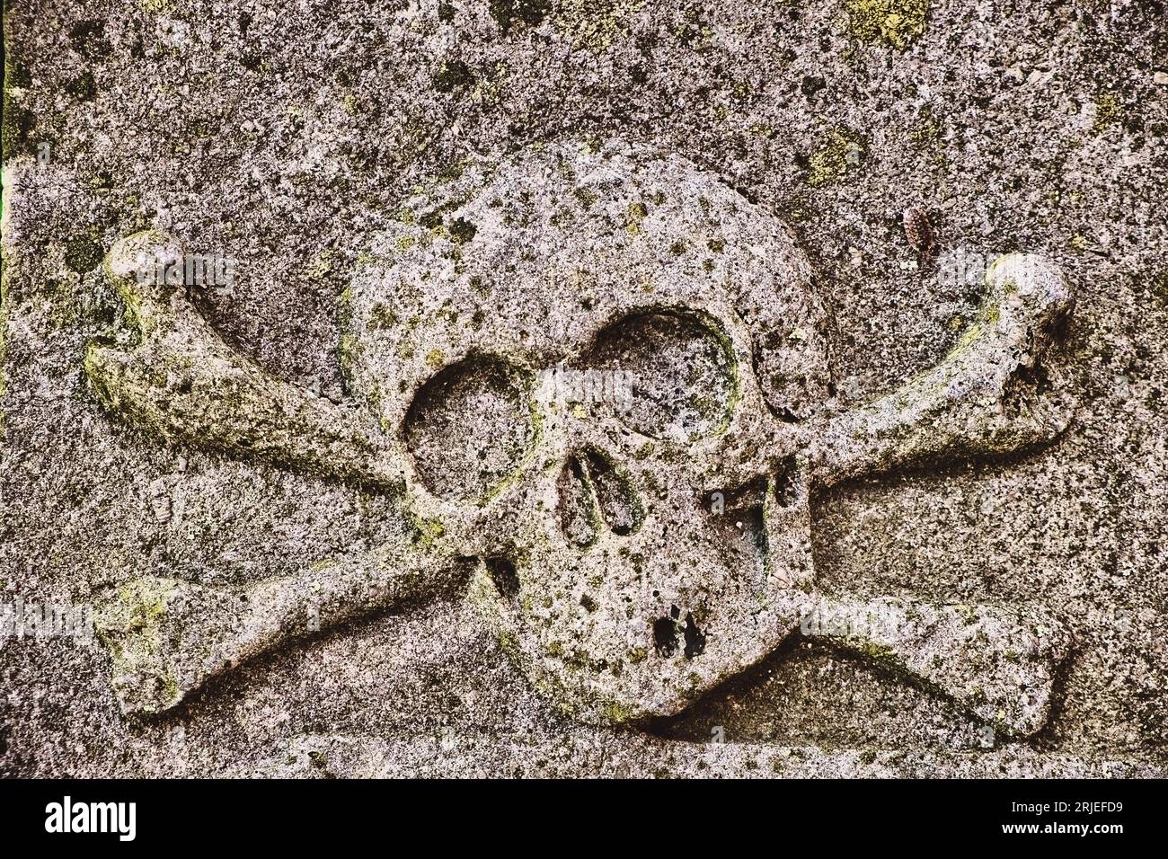 Skulpturierter Schädel und Kreuzknochen, ein altes Sterblichkeitssymbol, auf einem mittelalterlichen, verwitterten und mit Flechten bedeckten Grabstein. Stockfoto