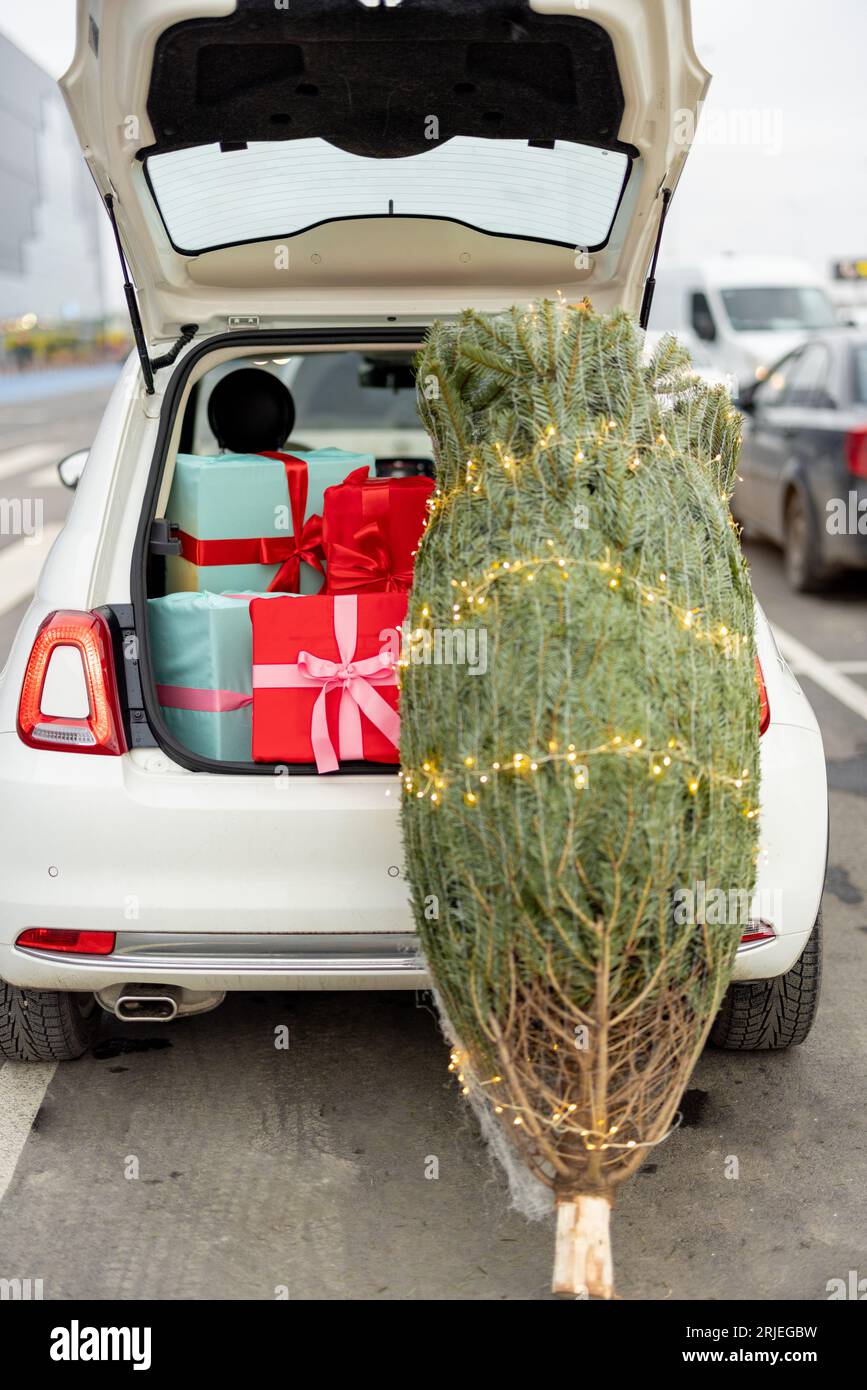 Weihnachtsbaum und Geschenkschachteln im Kofferraum Stockfoto