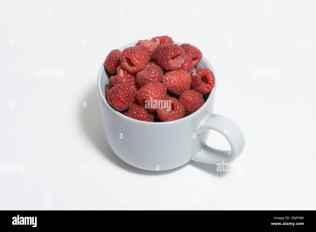 Großer grauer Becher, bis zum Rand gefüllt mit frischen Himbeeren auf weißem Hintergrund Stockfoto